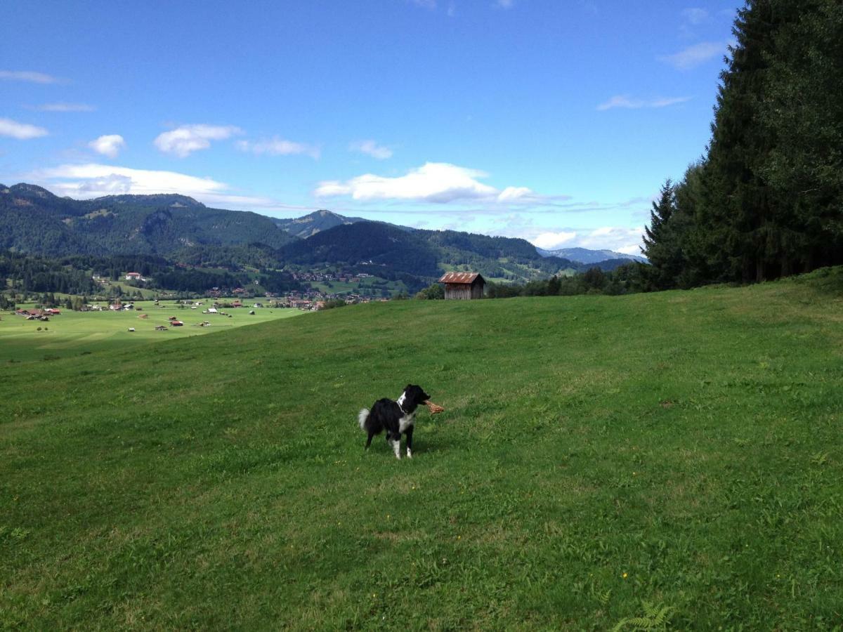 Geigers Ferienhaus Tiefenbach bei Oberstdorf Eksteriør billede