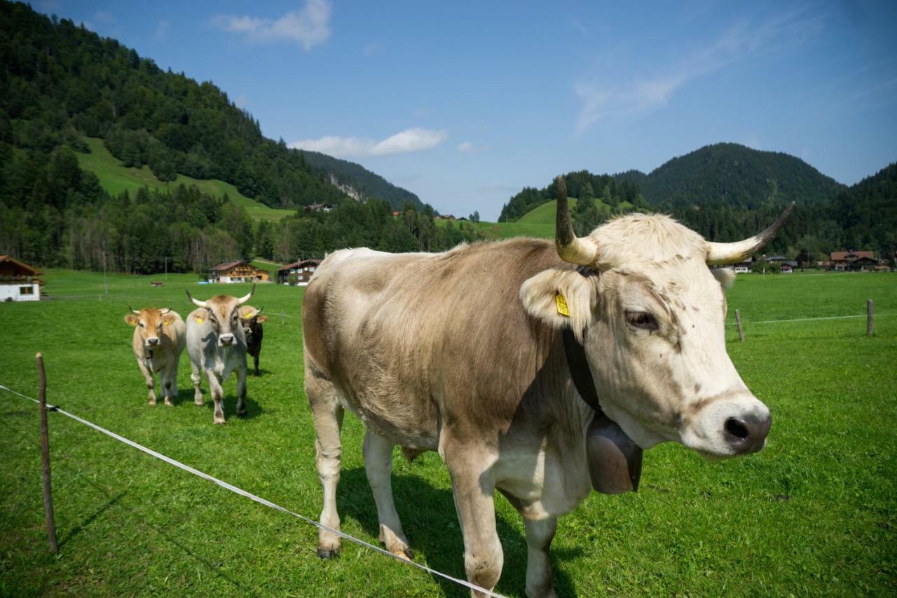 Geigers Ferienhaus Tiefenbach bei Oberstdorf Eksteriør billede